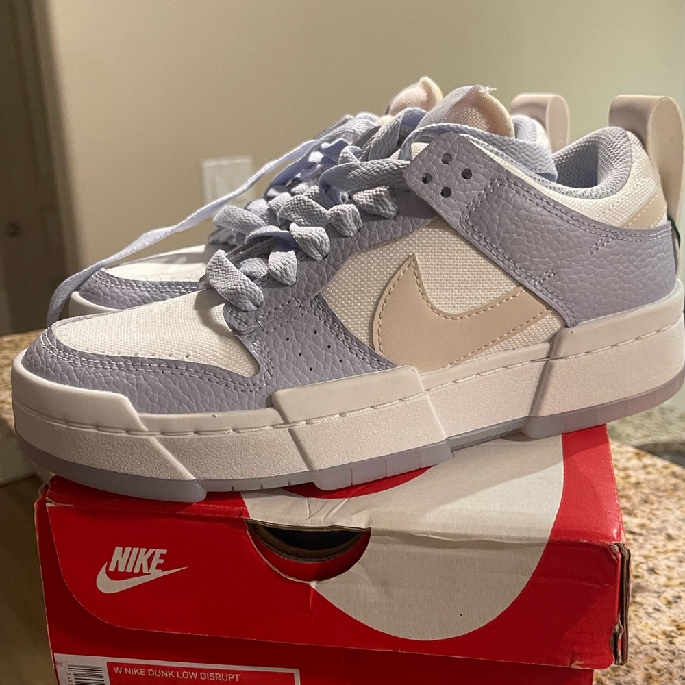 Nike dunk low disrupt